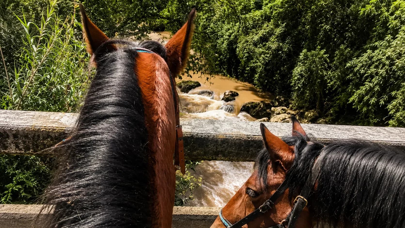 Aventura a caballo y sabor de montaña